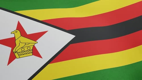 Zimbabwe National Flag Waving Seamless Loop Background
