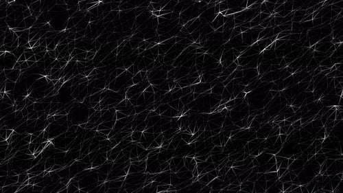 Abstract Technology Plexus Network Animated Background Loop