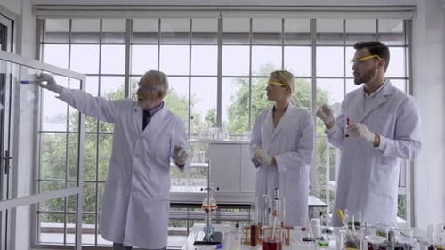 Scientists Working in Brightly Lit Modern Laboratory