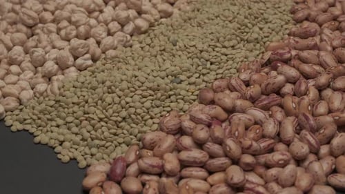 Variety of Legumes on Display