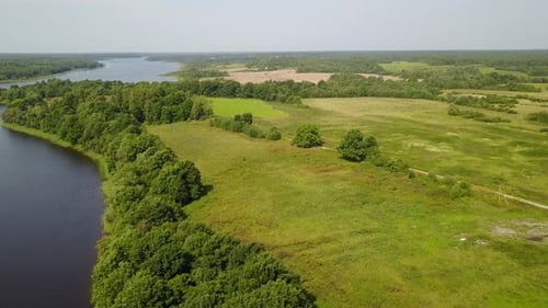 Wilde Natur des Sees Zaronovo 50