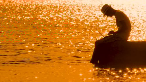 Silhouette Using Laptop on Waterfront at Sunset