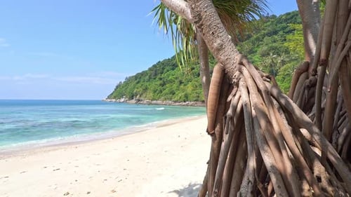 Beautiful tropical beach sea ocean with blue sky and white cloud