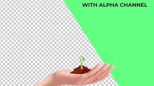Planta joven cogiendo de la mano