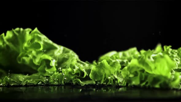 Fresh Green Lettuce on a Reflective Surface, Food Stock Footage ft ...