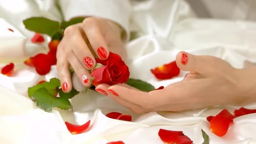 Woman Holds Red Rose on Silky Background