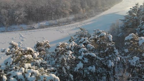Aerial an Icy River in a Wooded Area