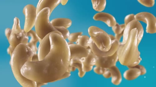 Realistic Cashews Falling and Rotating Seamless Loop