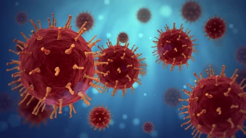 Virus Infection