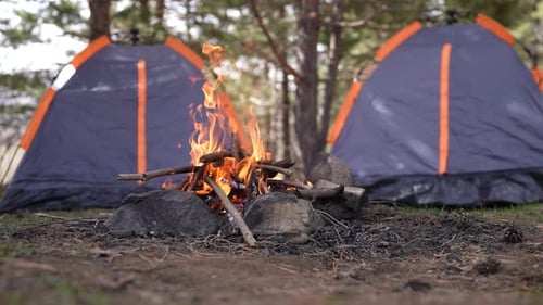 Campfire Burns Brightly Beside Tents in the Forest