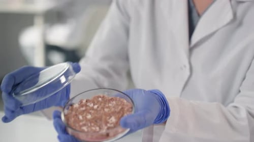 Scientist Holds Petri Dish With Lab-Grown Meat