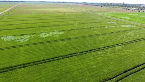Luftaufnahme eines riesigen Ackerlandes mit vielen Gräben an einem sonnigen Tag im Sommer