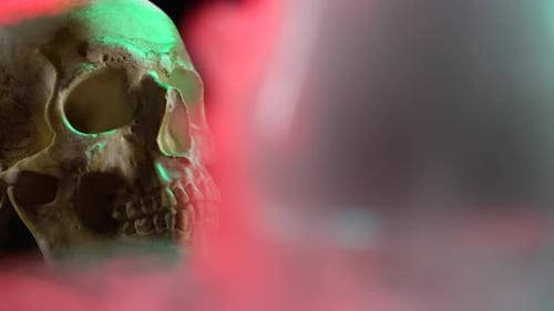 Closeup of a Skull in Smoke on a Black Background with Red Light