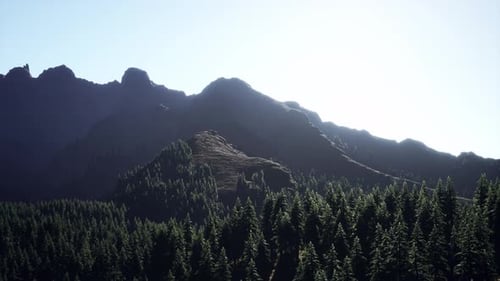 Mountain Forest Landscape Under Evening Sky