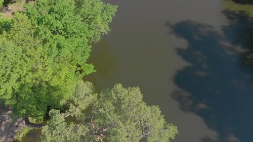 Idyllic Lake Surrounded by Lush Green Forest