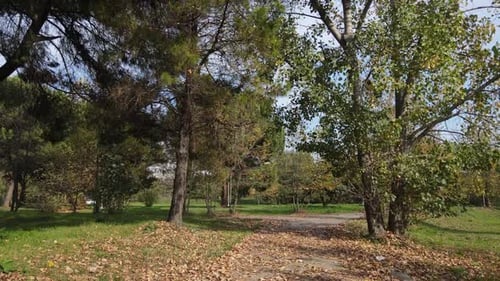 Parkway
