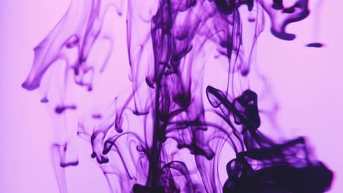 Abstract Purple Ink Dissolving in Water