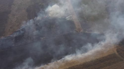 Aftermath of Devastating Rural Fire with Heavy Smoke