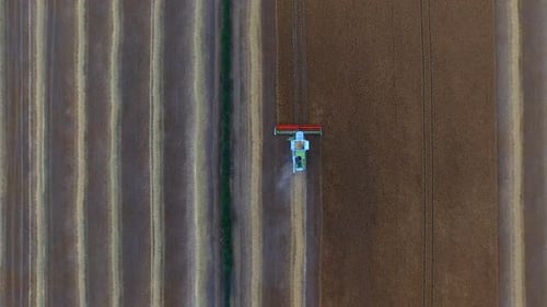 Combine Harvester Working in a Large Field