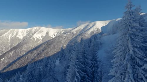 Aerial View of Frozen Forest Cold Winter Alps Mountains