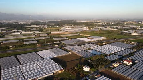 Greenhouses with Green Plants