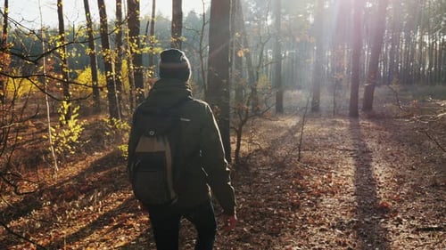 Young Male Traveler with Backpack Walking in the Fall Forest
