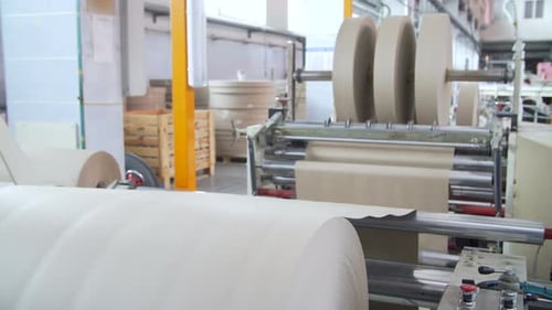 Paper and Pulp Mill