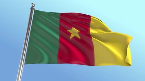 Cameroon Flag Waving Realistic Loop
