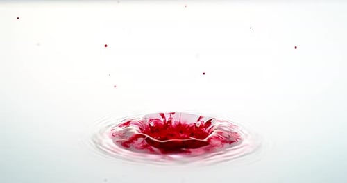 Red Ink falling into Liquid against White Background, Slow motion 4K
