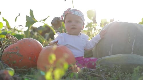Infant Sitting With Pumpkins in a Rural Field