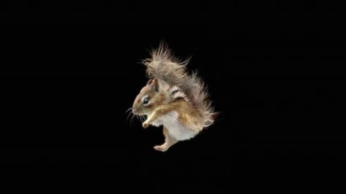 Chipmunk: Tanzen HD