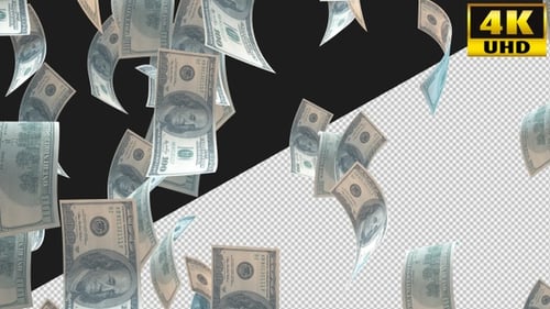 Dollars Big Money With Alpha Channel Video Loop V3