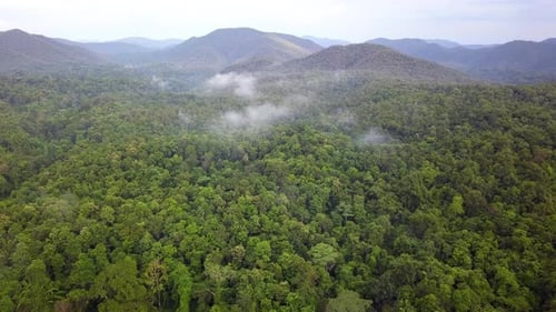 Aerial 4k footage from a drone above a tropical rain forest in Thailand.