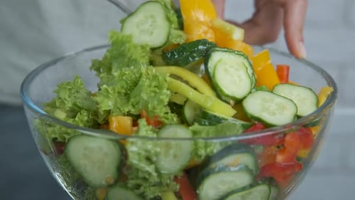 Vegetarian salad.