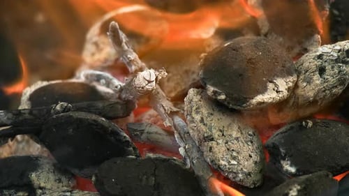 Close Up of Barbecue Briquettes and Wood