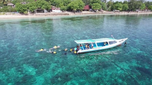 Snorkeling in Coral Reef