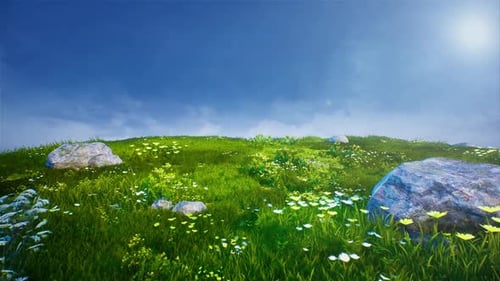 Bright Sunny Meadow Landscape with Blue Sky