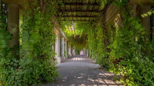 Hyperlapse of Pergola in Hala Stulecia