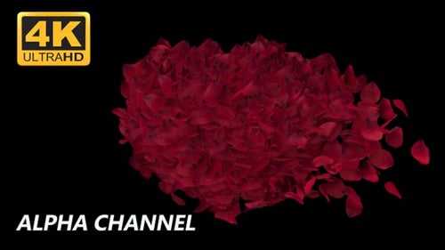 Romantic Rose Petals Forming a Heart Animation
