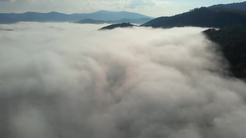 Zumbido aéreo de una increíble niebla densa sobre un río entre montañas.