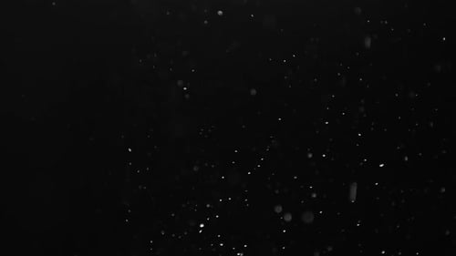 Swirling Particles Softly Glowing Against Black Background