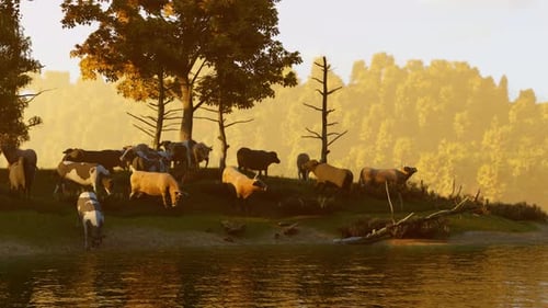 Pastoral Scene with Herd of Cows Drinking and Grazing by Water