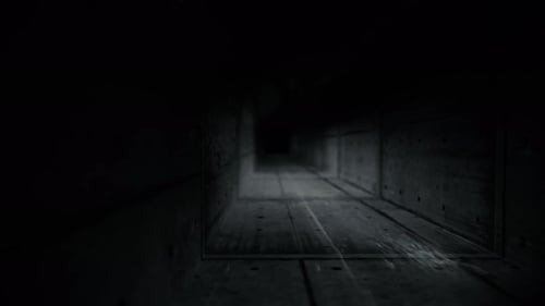 A Long Corridor of the Black and White Tunnel
