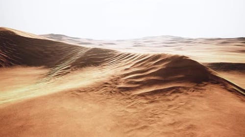 Blick auf die Dünen von Nice Sands im Sands Dunes Nationalpark