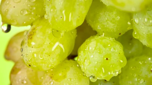 Close Up of Green Grapes with Water Droplets