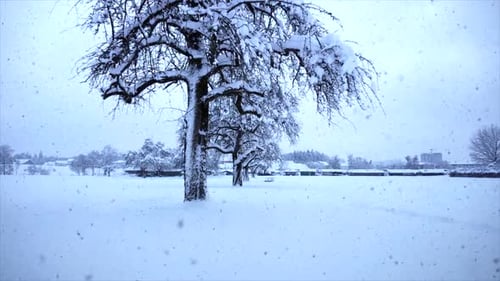 Paisaje de invierno frío y nieve