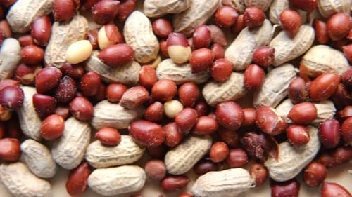 Processed Pea Nuts on Table Top View