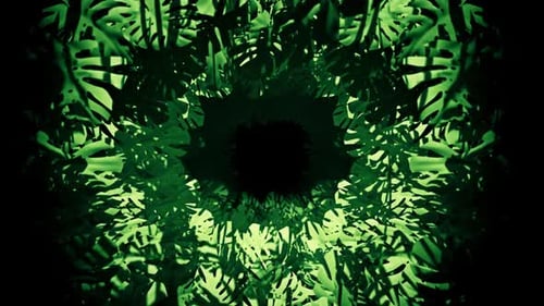 Flying In Jungle Swiss Cheese Plant 01 HD