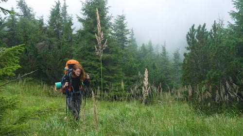 Girl Hiker Walking In The Forest