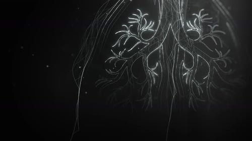 Meta Universe Lungs - QHD Background